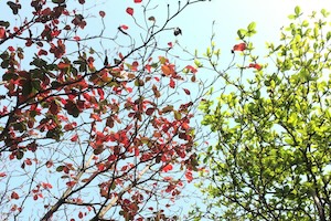 Change password or other details