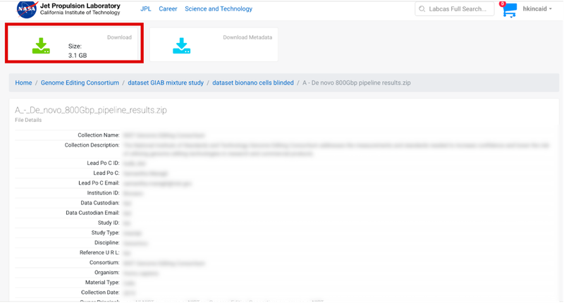 Metadata associated with a file